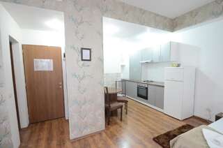 Апарт-отели Mosilor Apartments Бухарест Классический номер-студио №11-7
